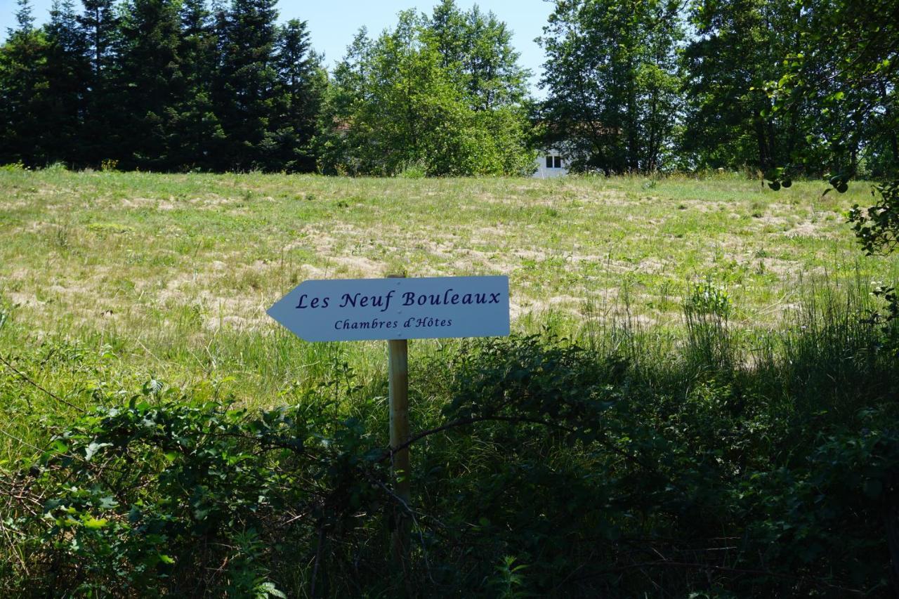 Job Les Neuf Bouleaux B&B 외부 사진